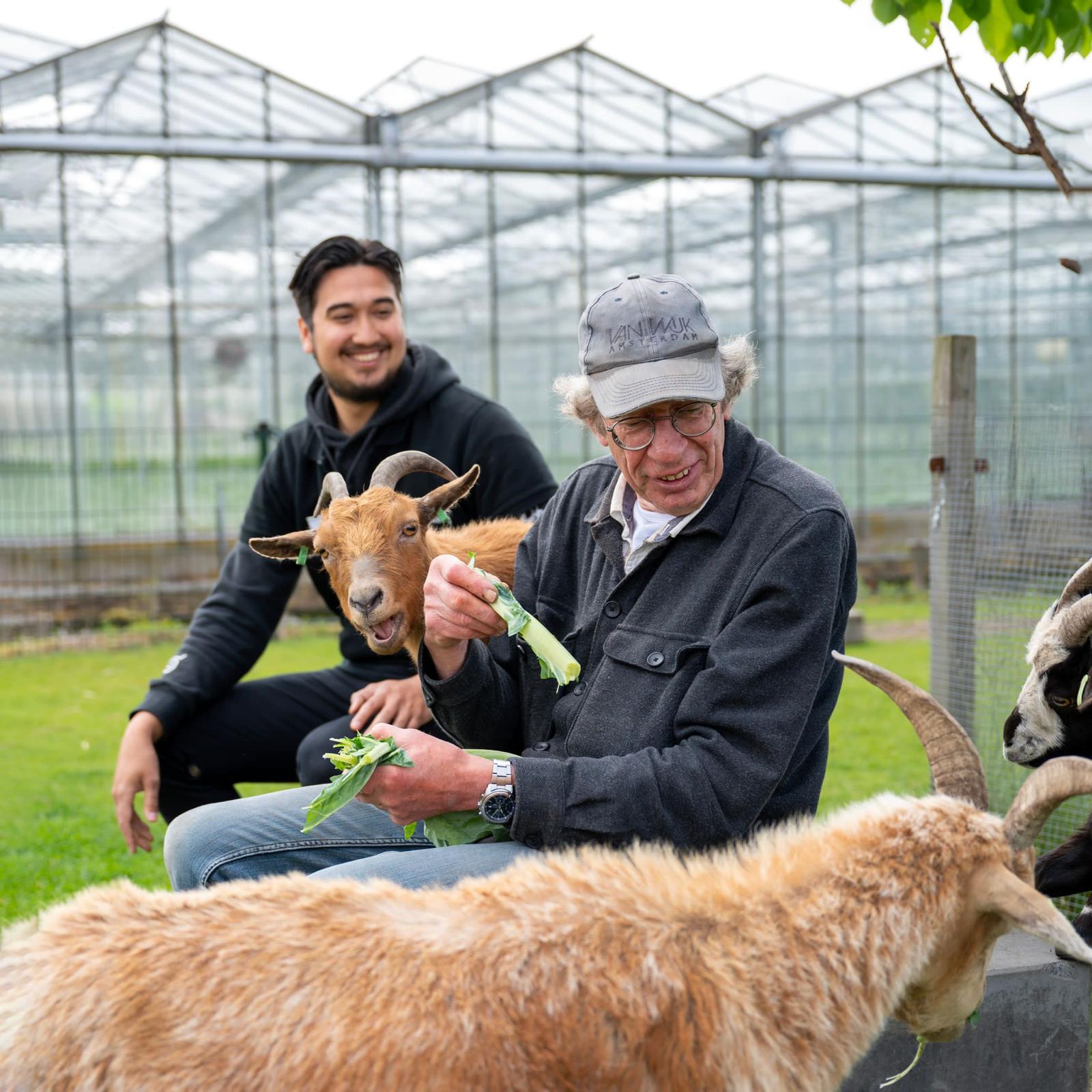Koffiekas - Zorgkwekerij Groen