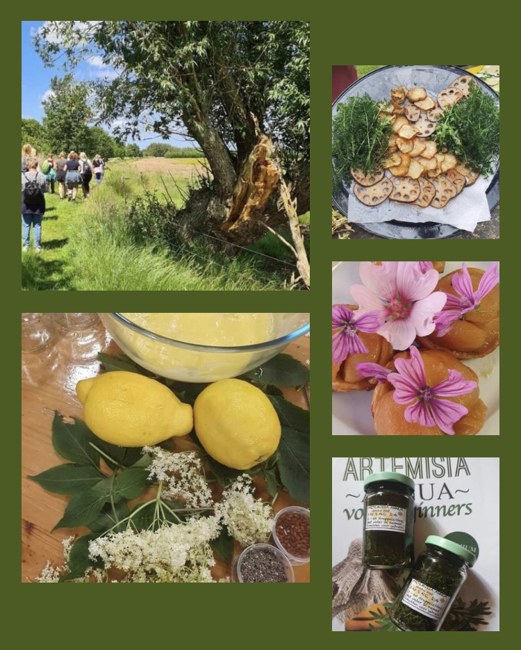 Stichting Eigen Krachtvoer